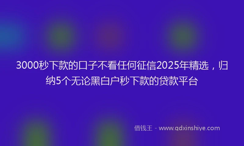 3000秒下款的口子不看任何征信2025年精选，归纳5个无论黑白户秒下款的贷款平台
