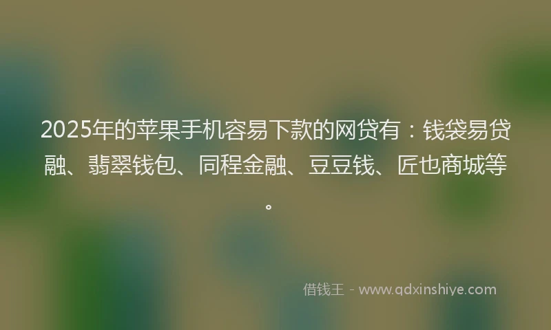 2025年的苹果手机容易下款的网贷有：钱袋易贷融、翡翠钱包、同程金融、豆豆钱、匠也商城等。