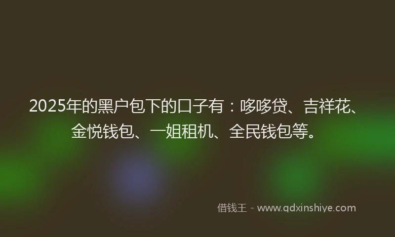 2025年的黑户包下的口子有：哆哆贷、吉祥花、金悦钱包、一姐租机、全民钱包等。
