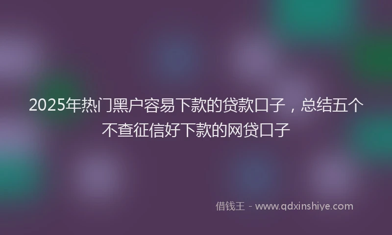 2025年热门黑户容易下款的贷款口子，总结五个不查征信好下款的网贷口子