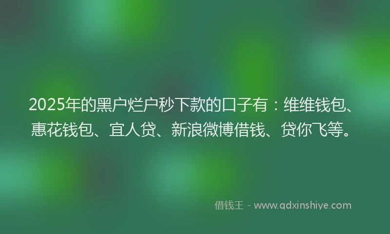 2025年的黑户烂户秒下款的口子有:维维钱包、惠花钱包、宜人贷、新浪微博借钱、贷你飞等。
