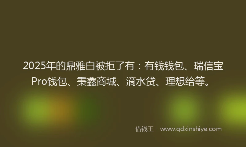 2025年的鼎雅白被拒了有：有钱钱包、瑞信宝Pro钱包、秉鑫商城、滴水贷、理想给等。
