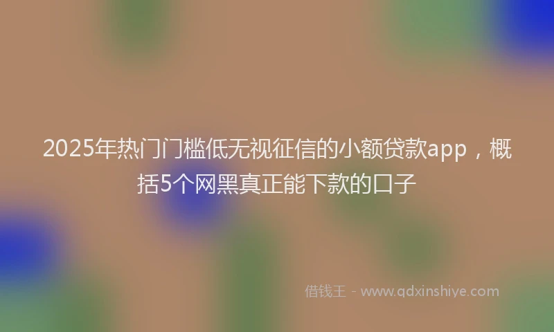 2025年热门门槛低无视征信的小额贷款app，概括5个网黑真正能下款的口子