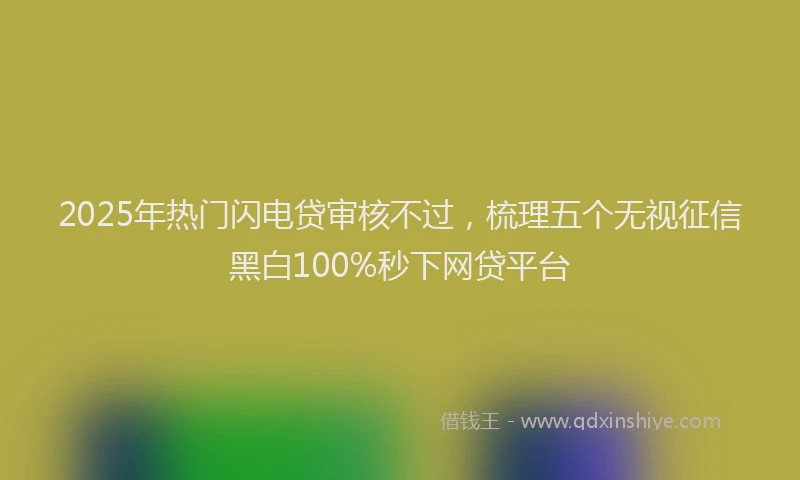 2025年热门闪电贷审核不过，梳理五个无视征信黑白100%秒下网贷平台