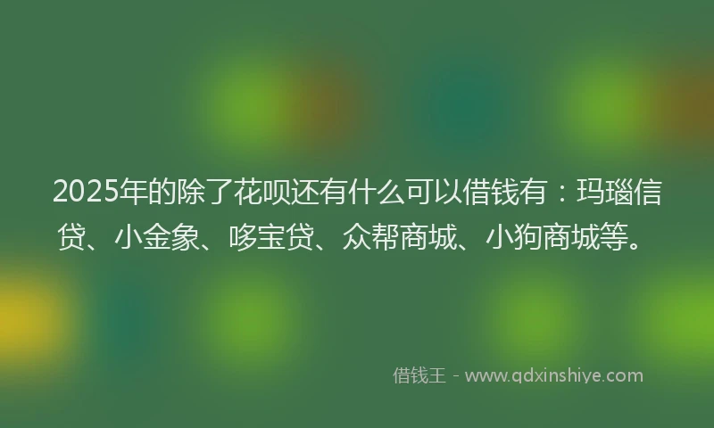 2025年的除了花呗还有什么可以借钱有：玛瑙信贷、小金象、哆宝贷、众帮商城、小狗商城等。
