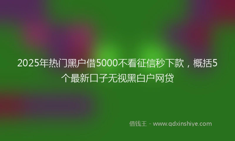 2025年热门黑户借5000不看征信秒下款，概括5个最新口子无视黑白户网贷