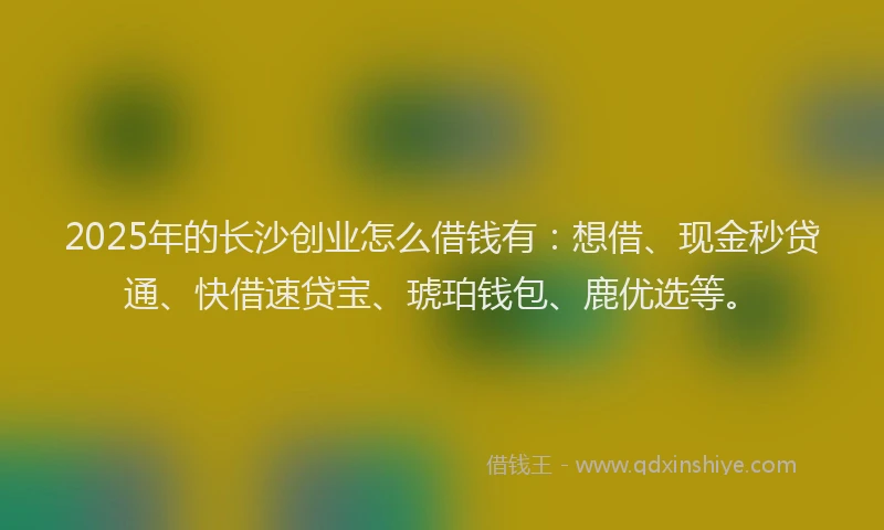 2025年的长沙创业怎么借钱有：想借、现金秒贷通、快借速贷宝、琥珀钱包、鹿优选等。