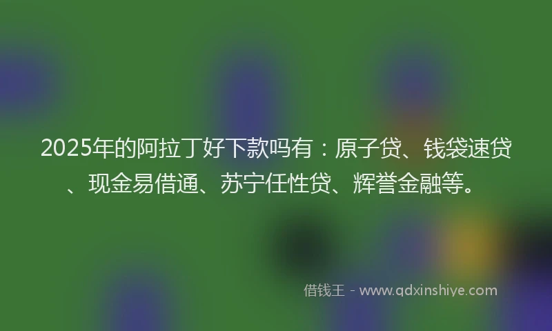 2025年的阿拉丁好下款吗有:原子贷、钱袋速贷、现金易借通、苏宁任性贷、辉誉金融等。