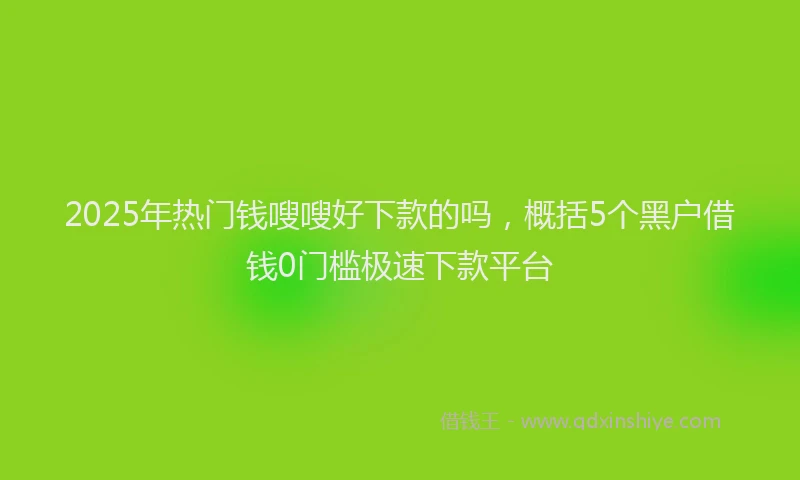2025年热门钱嗖嗖好下款的吗,概括5个黑户借钱0门槛极速下款平台