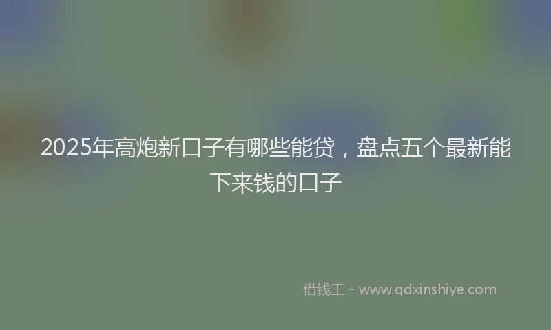 2025年高炮新口子有哪些能贷，盘点五个最新能下来钱的口子