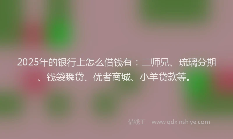 2025年的银行上怎么借钱有：二师兄、琉璃分期、钱袋瞬贷、优者商城、小羊贷款等。