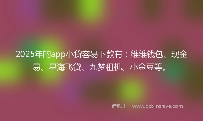 2025年的app小贷容易下款有：维维钱包、现金易、星海飞贷、九梦租机、小金豆等。