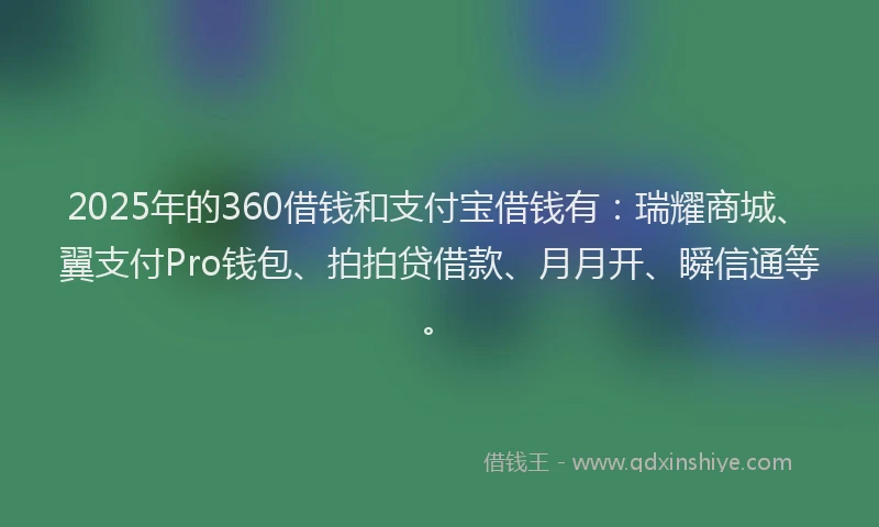 2025年的360借钱和支付宝借钱有：瑞耀商城、翼支付Pro钱包、拍拍贷借款、月月开、瞬信通等。
