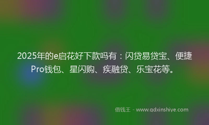 2025年的e启花好下款吗有：闪贷易贷宝、便捷Pro钱包、星闪购、疾融贷、乐宝花等。