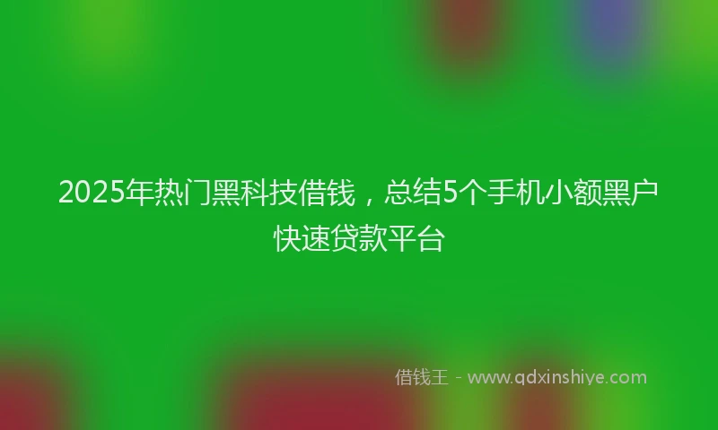 2025年热门黑科技借钱，总结5个手机小额黑户快速贷款平台