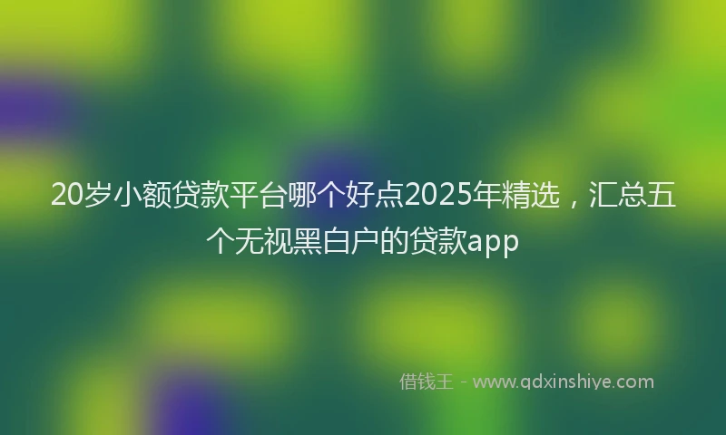 20岁小额贷款平台哪个好点2025年精选，汇总五个无视黑白户的贷款app