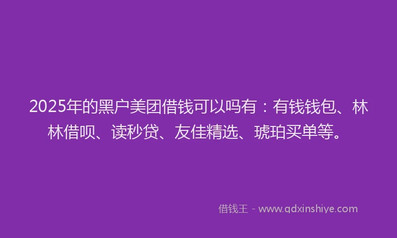 2025年的黑户美团借钱可以吗有：有钱钱包、林林借呗、读秒贷、友佳精选、琥珀买单等。