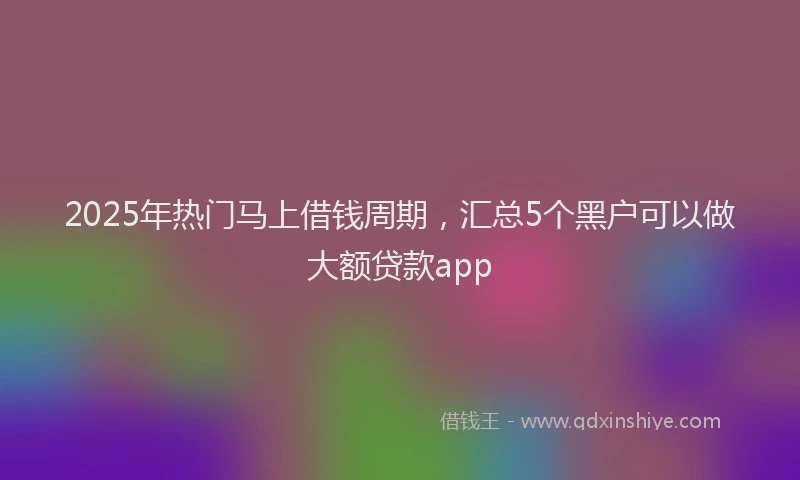 2025年热门马上借钱周期，汇总5个黑户可以做大额贷款app
