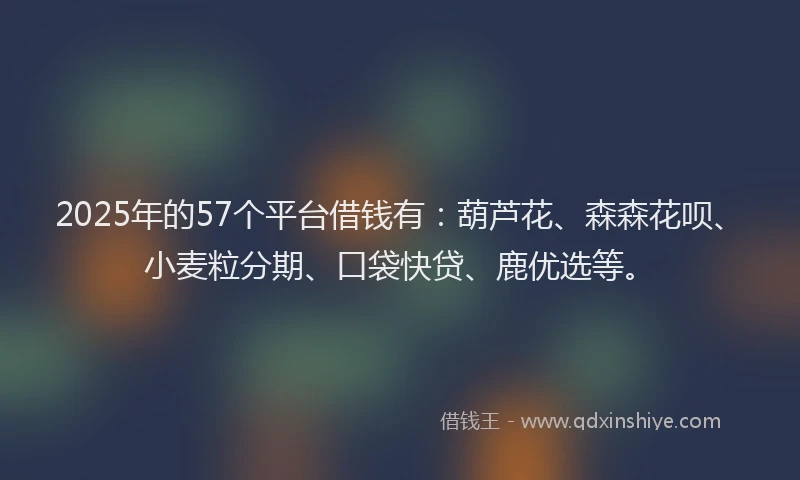 2025年的57个平台借钱有：葫芦花、森森花呗、小麦粒分期、口袋快贷、鹿优选等。