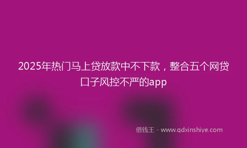 2025年热门马上贷放款中不下款，整合五个网贷口子风控不严的app