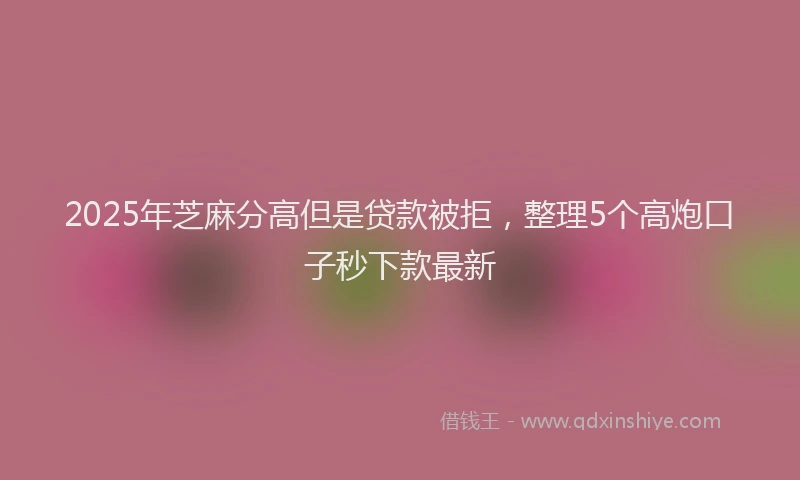 2025年芝麻分高但是贷款被拒，整理5个高炮口子秒下款最新
