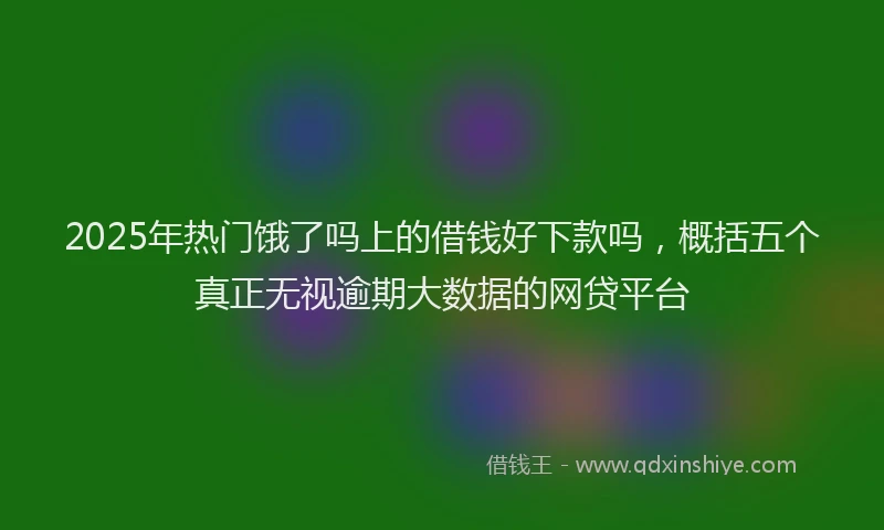 2025年热门饿了吗上的借钱好下款吗，概括五个真正无视逾期大数据的网贷平台