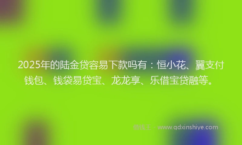 2025年的陆金贷容易下款吗有：恒小花、翼支付钱包、钱袋易贷宝、龙龙享、乐借宝贷融等。