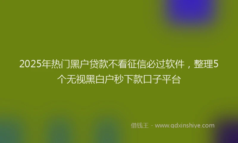 2025年热门黑户贷款不看征信必过软件，整理5个无视黑白户秒下款口子平台
