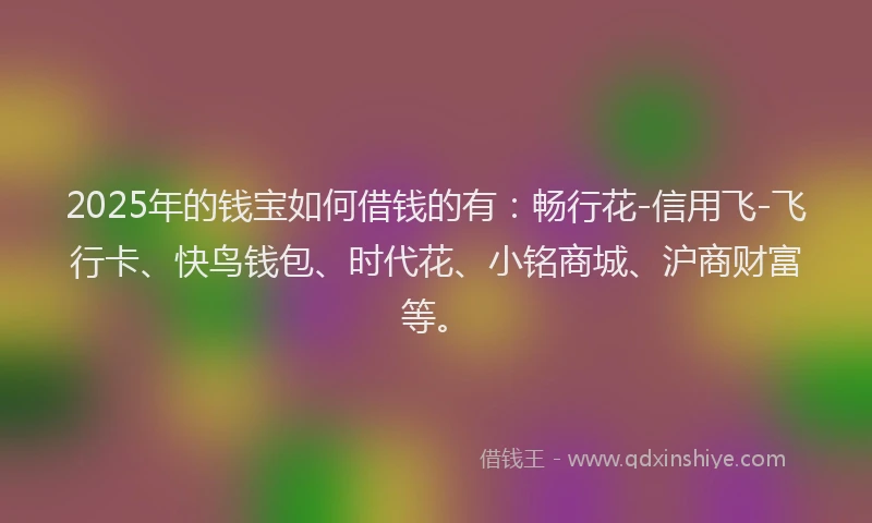 2025年的钱宝如何借钱的有：畅行花-信用飞-飞行卡、快鸟钱包、时代花、小铭商城、沪商财富等。