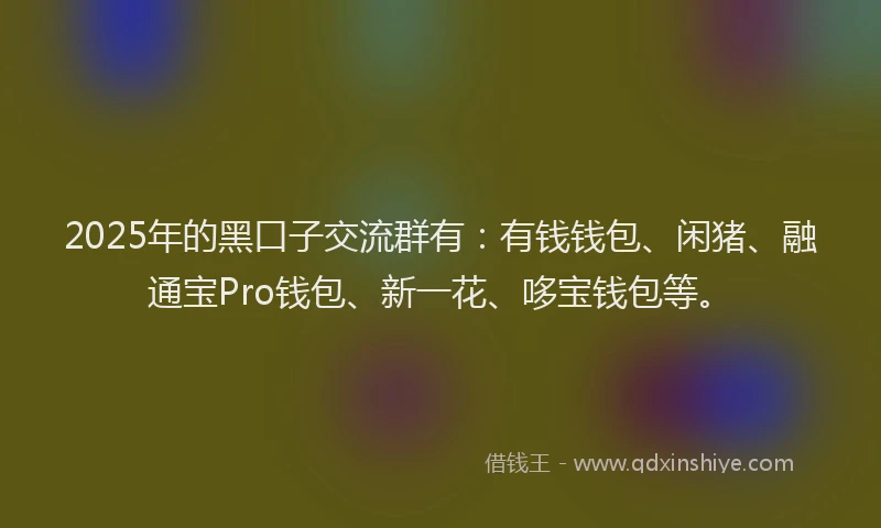 2025年的黑口子交流群有：有钱钱包、闲猪、融通宝Pro钱包、新一花、哆宝钱包等。