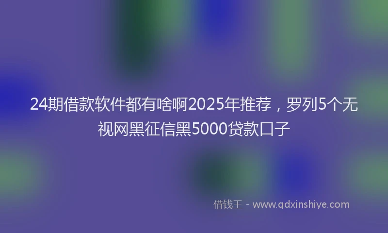 24期借款软件都有啥啊2025年推荐，罗列5个无视网黑征信黑5000贷款口子