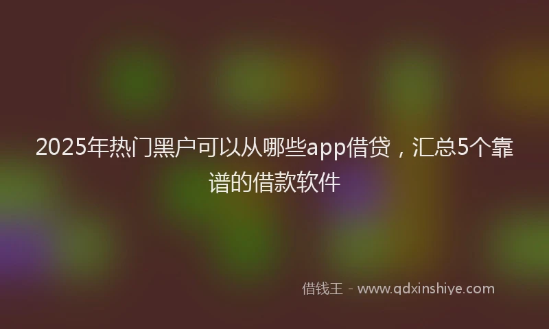 2025年热门黑户可以从哪些app借贷，汇总5个靠谱的借款软件