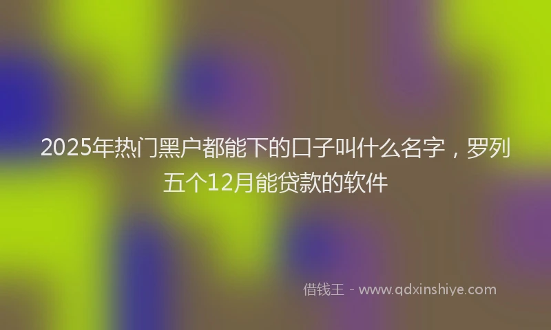 2025年热门黑户都能下的口子叫什么名字，罗列五个12月能贷款的软件