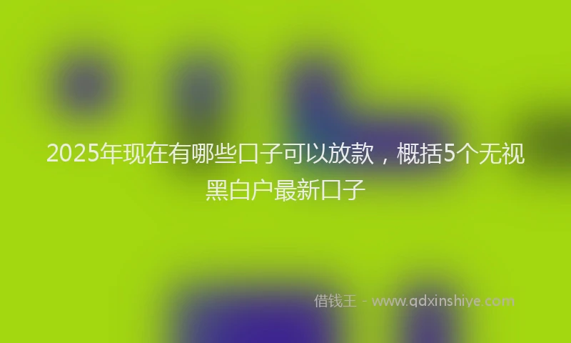 2025年现在有哪些口子可以放款，概括5个无视黑白户最新口子