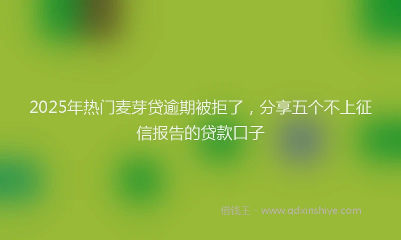 2025年热门麦芽贷逾期被拒了,分享五个不上征信报告的贷款口子