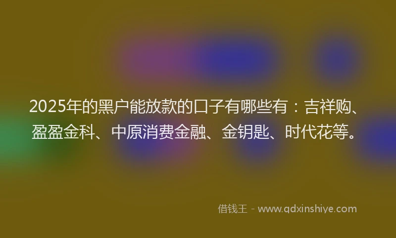 2025年的黑户能放款的口子有哪些有：吉祥购、盈盈金科、中原消费金融、金钥匙、时代花等。