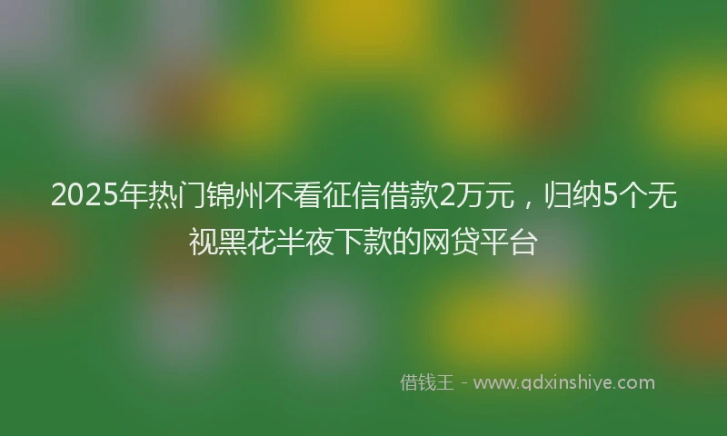 2025年热门锦州不看征信借款2万元，归纳5个无视黑花半夜下款的网贷平台