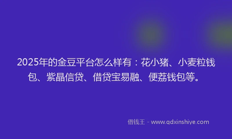2025年的金豆平台怎么样有：花小猪、小麦粒钱包、紫晶信贷、借贷宝易融、便荔钱包等。