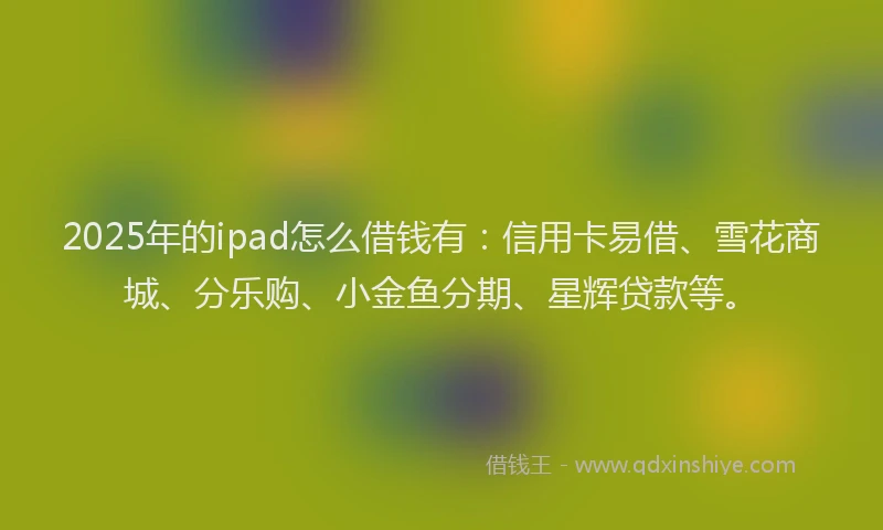 2025年的ipad怎么借钱有：信用卡易借、雪花商城、分乐购、小金鱼分期、星辉贷款等。