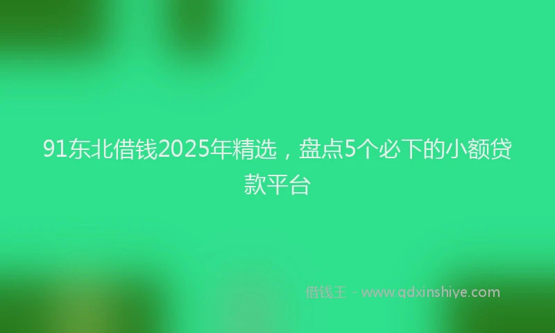 91东北借钱2025年精选，盘点5个必下的小额贷款平台