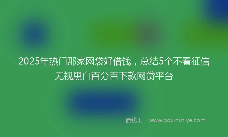 2025年热门那家网袋好借钱，总结5个不看征信无视黑白百分百下款网贷平台