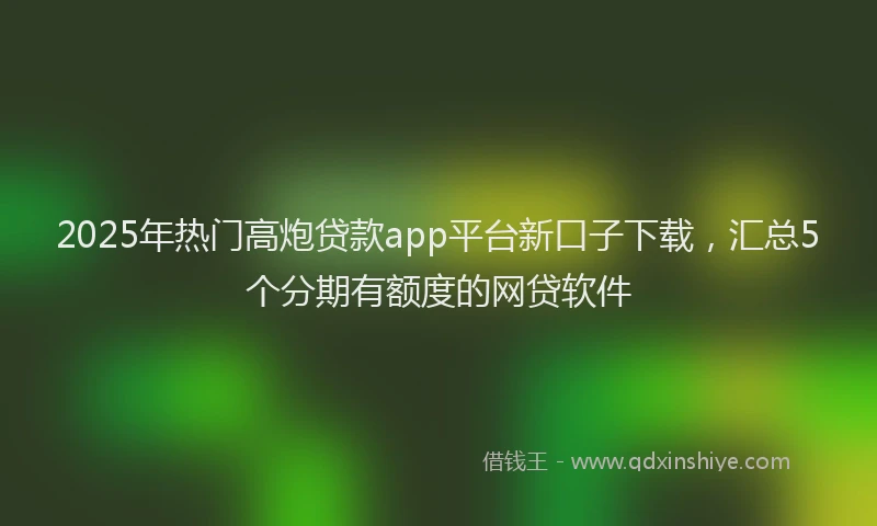 2025年热门高炮贷款app平台新口子下载,汇总5个分期有额度的网贷软件