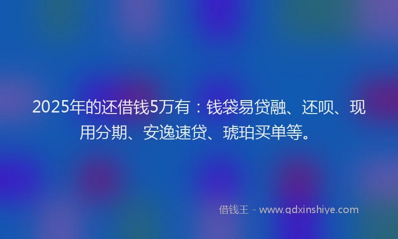 2025年的还借钱5万有：钱袋易贷融、还呗、现用分期、安逸速贷、琥珀买单等。