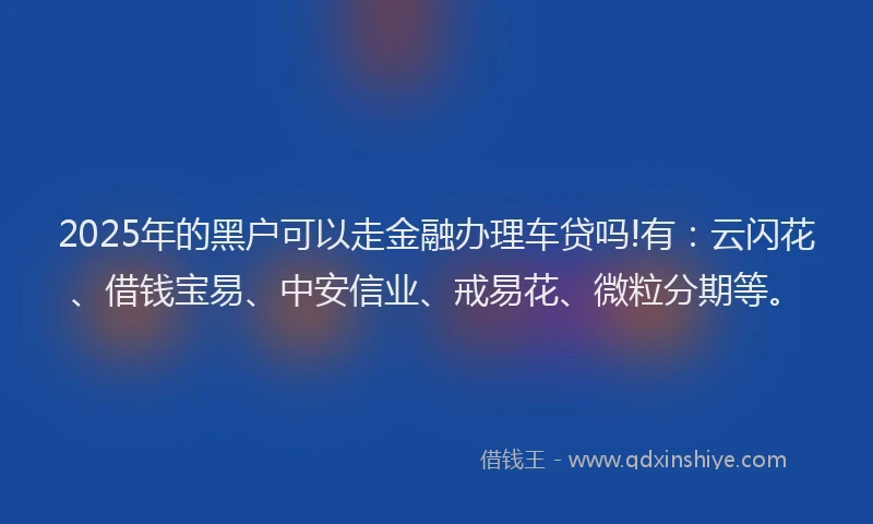 2025年的黑户可以走金融办理车贷吗!有：云闪花、借钱宝易、中安信业、戒易花、微粒分期等。