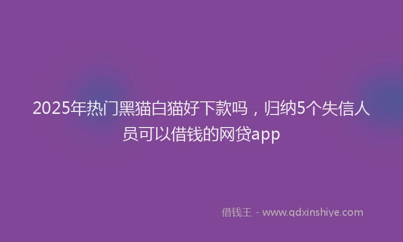 2025年热门黑猫白猫好下款吗，归纳5个失信人员可以借钱的网贷app