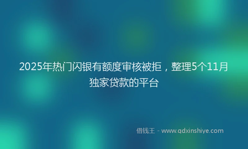 2025年热门闪银有额度审核被拒,整理5个11月独家贷款的平台