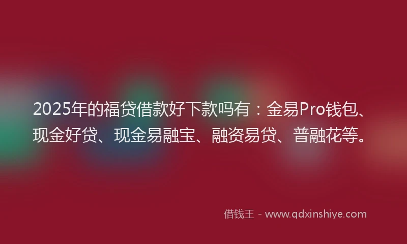 2025年的福贷借款好下款吗有：金易Pro钱包、现金好贷、现金易融宝、融资易贷、普融花等。