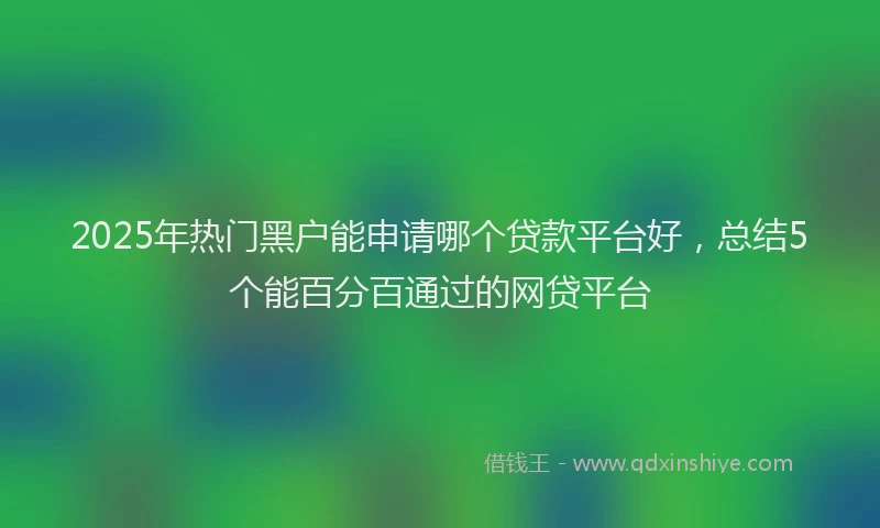 2025年热门黑户能申请哪个贷款平台好，总结5个能百分百通过的网贷平台