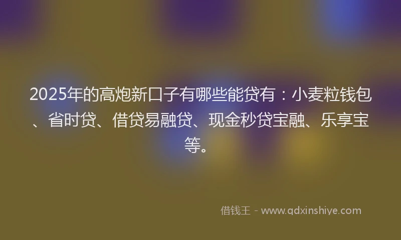 2025年的高炮新口子有哪些能贷有：小麦粒钱包、省时贷、借贷易融贷、现金秒贷宝融、乐享宝等。