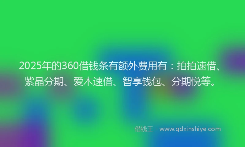 2025年的360借钱条有额外费用有：拍拍速借、紫晶分期、爱木速借、智享钱包、分期悦等。